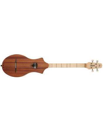 Seagull M4 Natural Mahogany SG