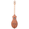 Seagull M4 Mahogany EQ