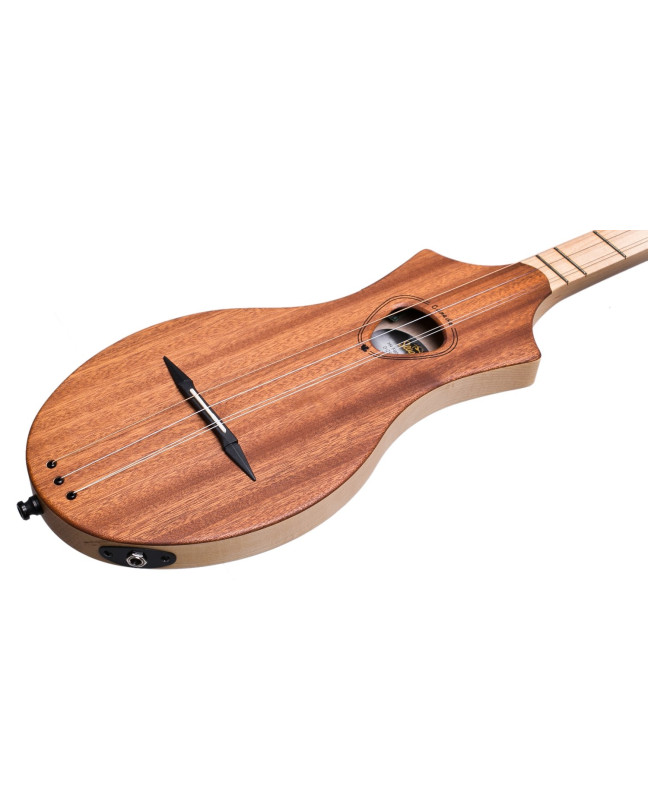 Seagull M4 Mahogany EQ