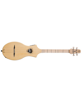 Seagull M4 Spruce EQ