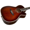 Seagull Artist Mosaic CH CW BourbonBurst GT EQ
