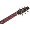 Seagull Artist Tuxedo Black EQ