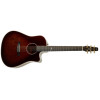 Seagull Artist Peppino Signature CW Burnt Umber