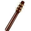 Seagull Artist Peppino Signature CW Burnt Umber