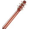 Seagull Entourage Autumn Burst Presys II