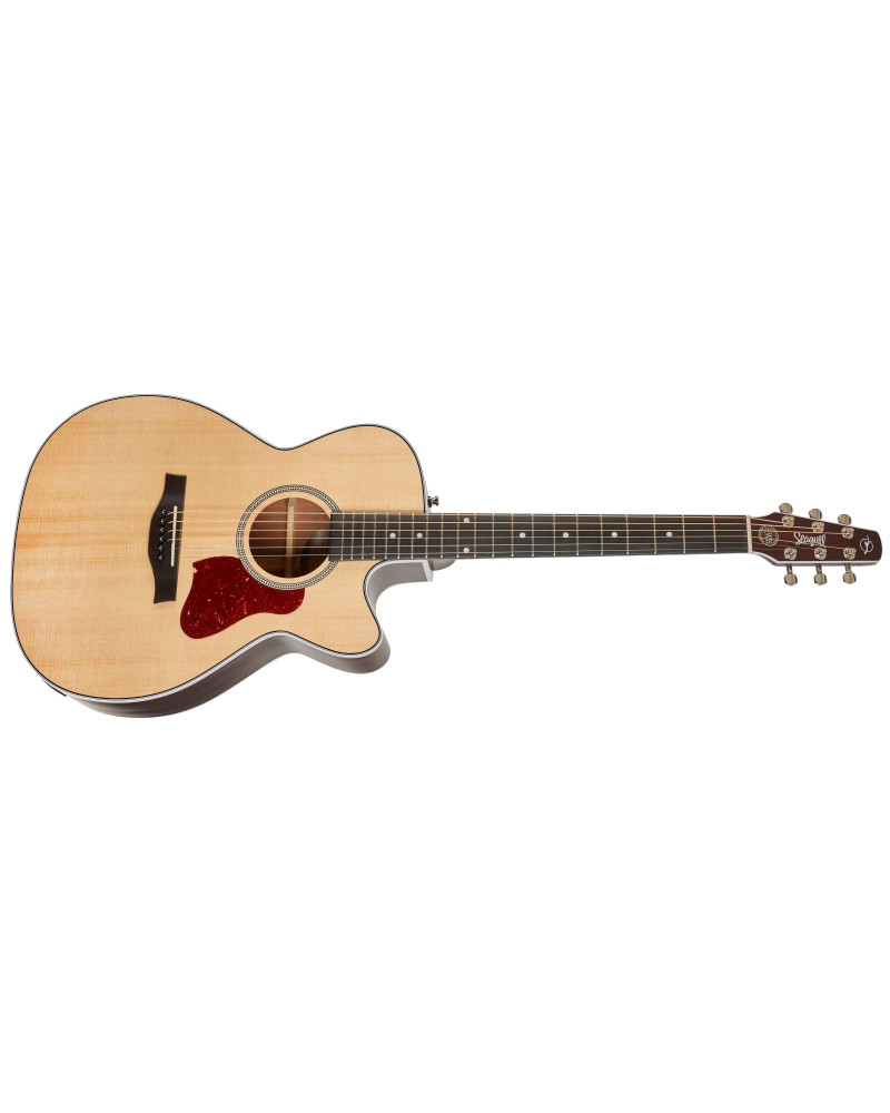 Seagull Maritime SWS CH CW Presys II