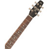 Seagull Entourage Rustic Burst CH CW EQ