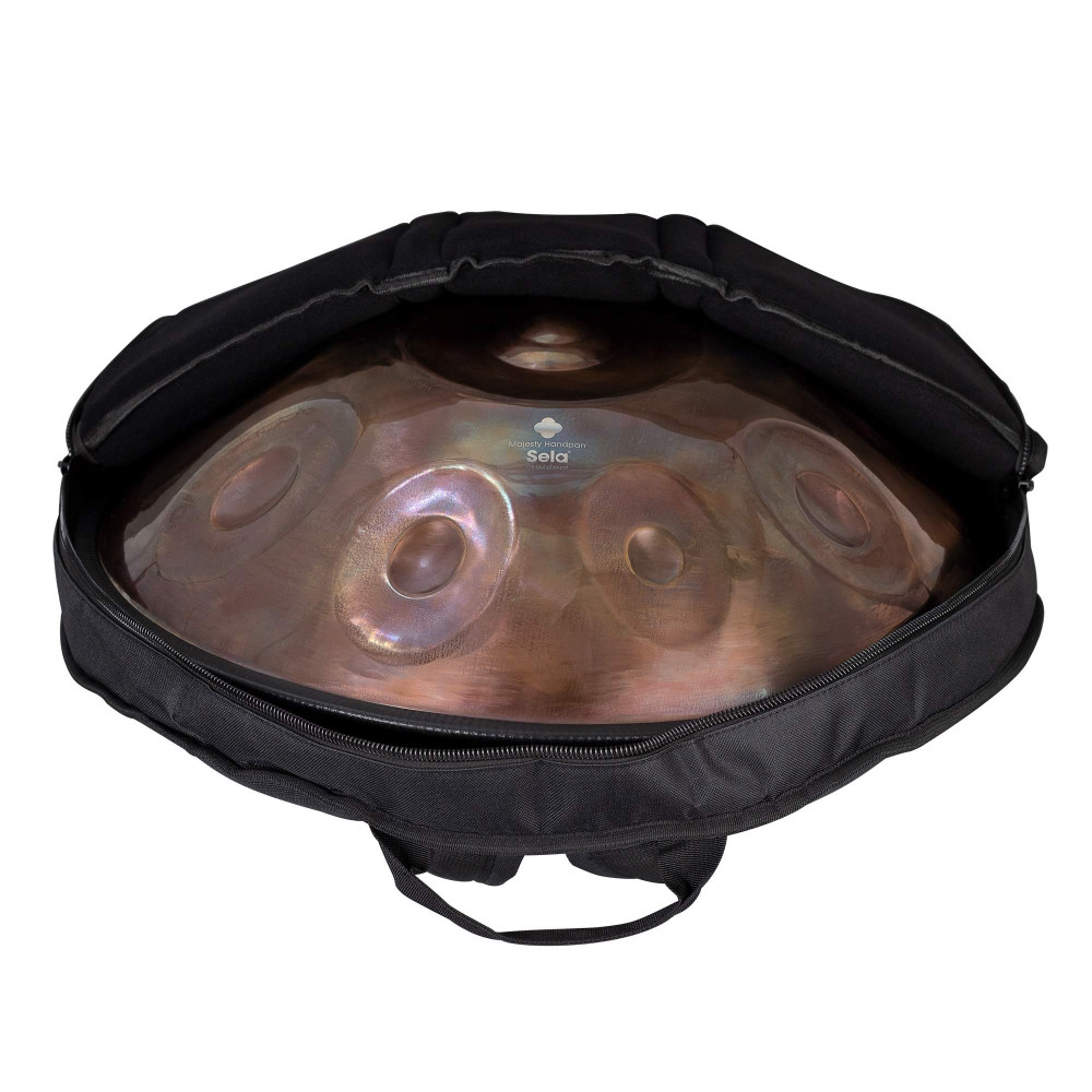 Sela Majesty Handpan C# Custom