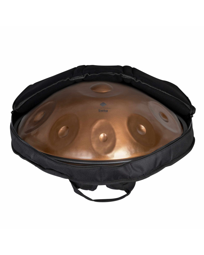Sela Harmony Handpan Ember Steel D Amara
