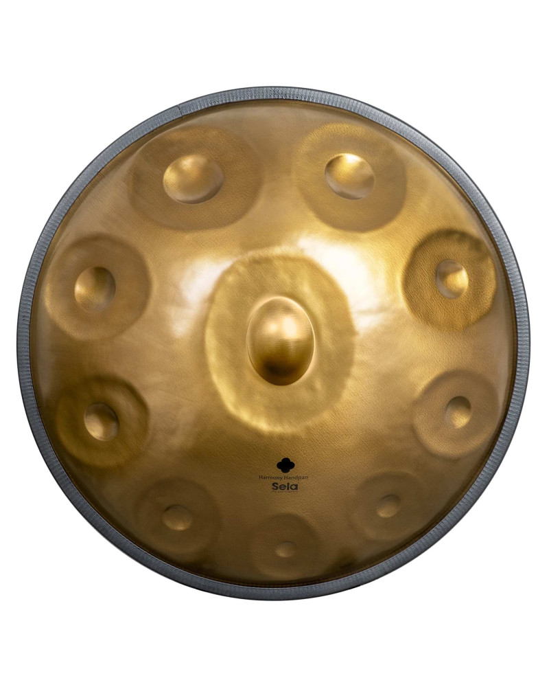 Sela Harmony Handpan D Amara 10 - Stainless Steel