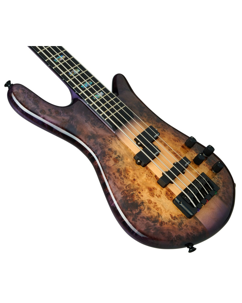 Spector SXEURO5CSTVLT Bass Guitar, Euro CST, 5-string, active, Natural Violet Burst Gloss