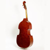 Stentor SR1420C Double bass 3/4, Graduate, Set