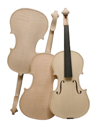 Stentor SR1583A Violin 4/4, Raw model, semi-finished
