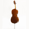Stentor SR1591A Cello 4/4, Handmade Pro Series “Elysia”