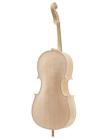 Stentor SR1597A Cello 4/4, Raw model, semi-finished