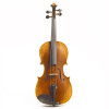 Stentor SR1877QE Viola 16.5” (4/4), Handmade Pro Series “Arcadia”