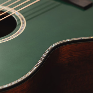 Takamine LTD2025 Limited Edition OM Cutaway Akustická Gitara Antique Evergreen