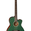 Takamine LTD2025 Limited Edition OM Cutaway Akustická Gitara Antique Evergreen