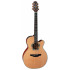 Takamine LTD2023 Santa Fe Natural