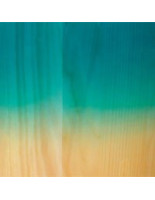 Tama CLS1465-PCLP Superstar Classic Maple Snare Drum 14