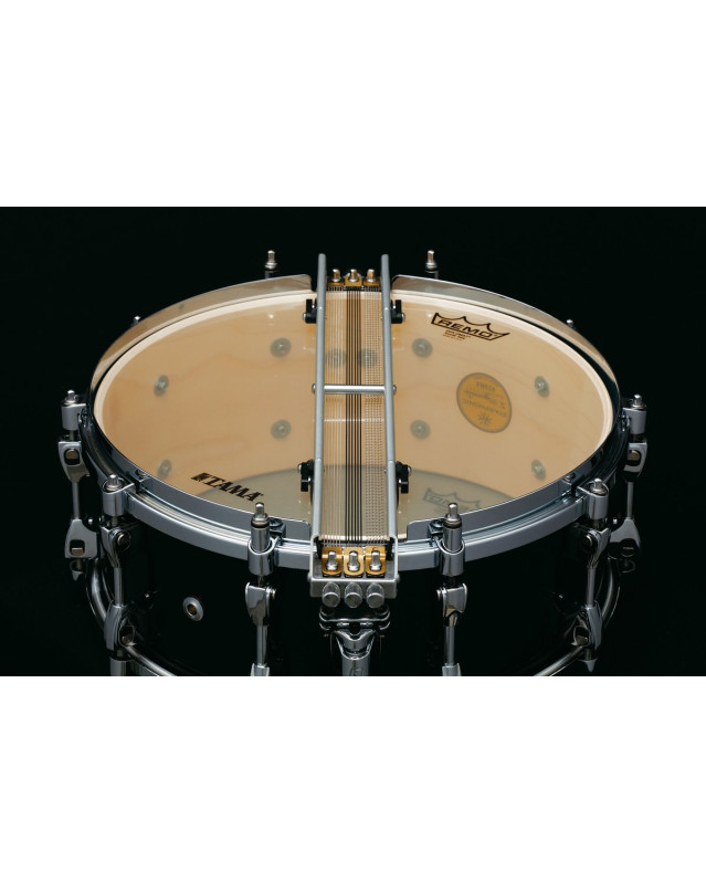 Tama CMP146MF-GMC STARPHONIC Maple Bravura Concert Snare Drum 14