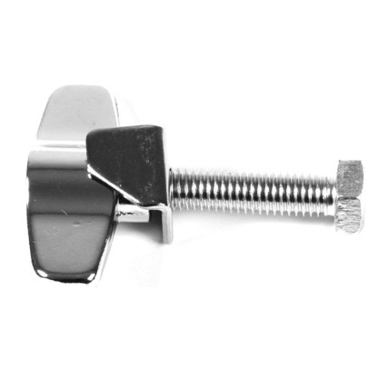 Screw and wing nut