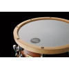 Tama LMP1465F-SEN Sound Lab Project Studio Maple Snare Drum 14
