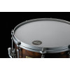 Tama LSP146-WSS Sound Lab Project Fat Spruce Snare Drum 14