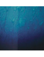 Tama MAG20R-MEF Starclassic Maple Lacquer Gong Bass Drum 20