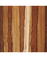 Tama MBSS65-CAR Starclassic Performer Snare Drum 14