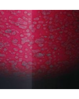 Tama MS1412L-MDR Fieldstar Marching Snare Drum 14