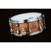 Tama PMM146-STM STARPHONIC Maple Snare Drum 14