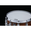 Tama RW-255 50th Anniversary Mastercraft Snare Drum 14