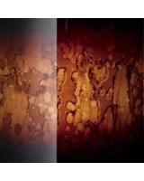 Tama WBSB20DZ-MBR Starclassic Walnut/Birch Lacquer Bass Drum 20 - Molten Brown Burst