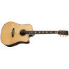 Tanglewood TW1000HSRCE