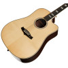 Tanglewood TW1000HSRCE
