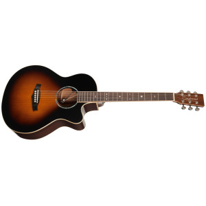 Tanglewood TW45RVSE