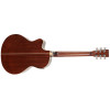 Tanglewood TW45RVSE