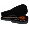 Tanglewood TW45RVSE