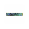 Thalia TH-CG200-BA Shell Collection Capo/ Blue Abalone/ Gold Exotic Series