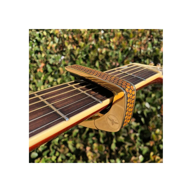 Thalia TH-CG202-04 Premium Series/ Curly AAA Koa/ Gold Premium Series