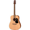 Walden WAD255 Steel String Guitar, Dreadnought, Hawthorne, satin finish