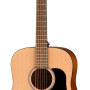 Walden WAD255 Steel String Guitar, Dreadnought, Hawthorne, satin finish