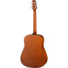 Walden WAD255 Steel String Guitar, Dreadnought, Hawthorne, satin finish