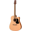 Walden WAD255CE Steel String Guitar, Dreadnought Cutaway, Hawthorne, EQ, satin finish