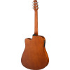 Walden WAD255CE Steel String Guitar, Dreadnought Cutaway, Hawthorne, EQ, satin finish