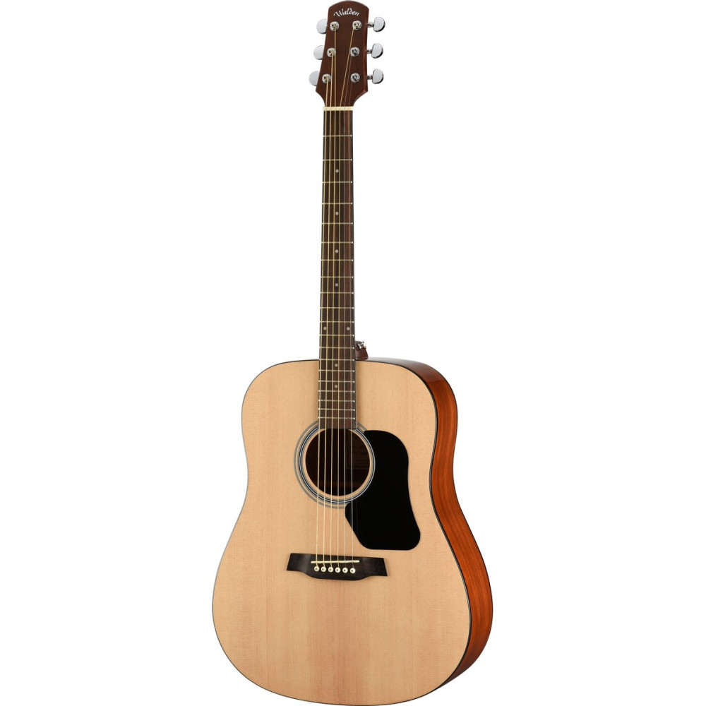 Walden WAD350W Steel String Guitar, Dreadnought, Gloss Finish, Gigbag