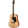Walden WAD350W Steel String Guitar, Dreadnought, Gloss Finish, Gigbag