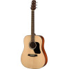 Walden WAD450W Steel String Guitar, Dreadnought, Gloss Finish, Gigbag