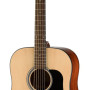 Walden WAD450W Steel String Guitar, Dreadnought, Gloss Finish, Gigbag